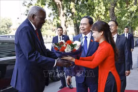 越南国会主席陈青敏迎接古巴全国人民政权代表大会主席埃斯特万·拉索·埃尔南德斯。图自越通社