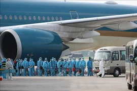 越南航空的“特殊”航班