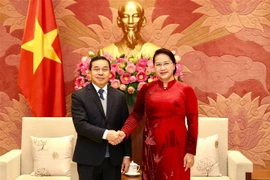 越南国会主席阮氏金银会见老挝驻越大使