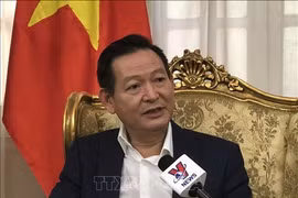  越南驻埃及大使馆协助旅埃越南人度过疫情难关