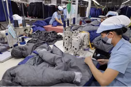 EVFTA: 充分利用优惠待遇 加大对欧盟市场的出口力度