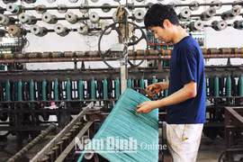 网具编织业为南定省人民提供数千个就业机会 