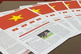 国家统一45周年：利用报纸制作特殊国旗