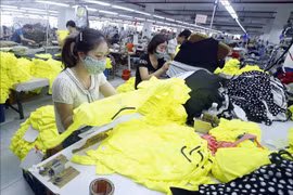 新冠肺炎疫情：越南各地积极帮扶企业和人民渡过疫情难关
