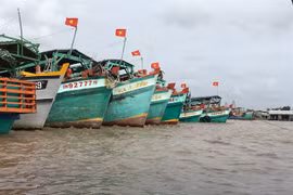 金瓯省集中精力推动海阳经济发展 把潜力和优势充分发挥出来