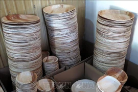 对塑料垃圾说不：槟榔树皮制品受到青睐