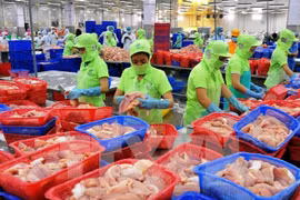 到2030年，越南水产品出口额达200亿美元