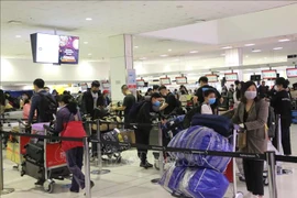 越南迎接350名旅外公民回国