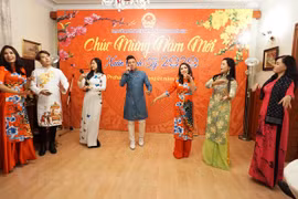 旅外越南人纷纷举行活动喜迎新春佳节