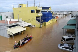 柬埔寨洪涝灾害已致39人死亡 受灾群众近50万