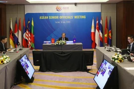 2020东盟年：东盟召开高官视频会议