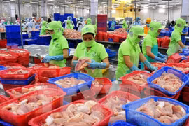 2020年贸易顺差为越南经济增长作出巨大贡献