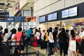 新冠肺炎疫情：在美国休斯敦的近350名越南公民已安全回国