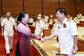 阮氏金银会见维护国家安全先进集体和个人代表团