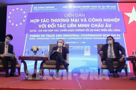 EVFTA—越南与欧盟面向可持续发展的动力