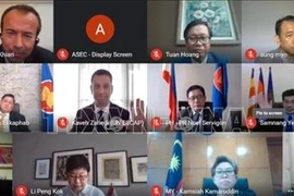 2020东盟主席年：东盟与联合国核查合作活动