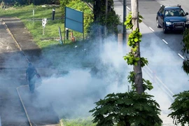 新加坡登革热疫情继续恶化