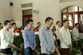 奠边省煽动颠覆人民政府案公开宣判