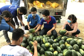 永隆省寻找农产品销售新市场