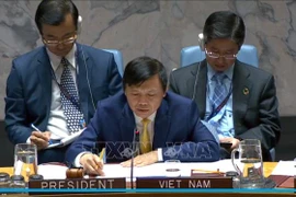 越南与联合国安理会：越南主持召开也门局势公开会