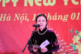 各国驻越外交使团、国际组织、非政府组织见面会在首都河内举行