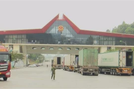 新冠肺炎疫情：配合控制各口岸的货物运输工具