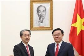 越南政府副总理王廷惠会见中国驻越大使熊波