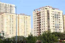 越南房地产协会为化解企业困难建言献策