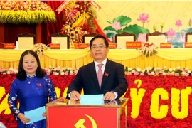 迎接党的十三大:巴地头顿、北宁、南定等省党代会圆满落幕