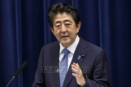 越南外交部发言人：安倍首相为越日关系的发展作出重要贡献 