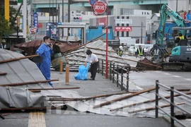 越南驻日本福冈总领事馆同日本有关部门配合寻找在台风中失踪的2名越南研修生