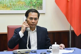 越南与各伙伴互换新冠肺炎疫情防控经验