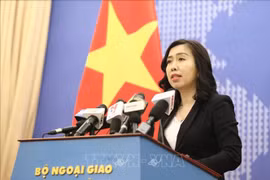 外交部发言人：越南协助俄方加快遇难者身份查明工作