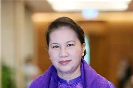 越南国会主席阮氏金银：共同携手保护东盟共同家园