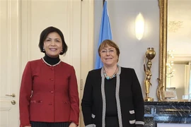 联合国人权事务高级专员高度评价越南在促进和维护人权方面取得的成就