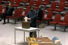 越南代表参加投票选举国际法院法官
