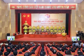 海防、太平、富安、永福等省市党代会胜利闭幕