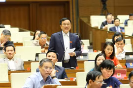 越南第十四届国会第十次会议新闻公报（第八号）