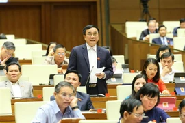 越南第十四届国会第十次会议新闻公报（第八号）