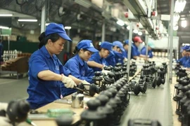越南81%的企业对2020年四季度生产经营活动持乐观态度