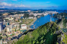 广宁省：重新刺激旅游需求