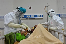 印度尼西亚和菲律宾单日新增病例超过3000例