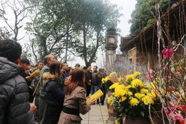 河静省香迹寺庙会开庙--2020年河静省旅游年的开端活动
