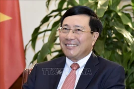 越南担任联合国安理会1月份轮值主席国：坚持独立自主的对外政策和提升国家地位的黄金机遇