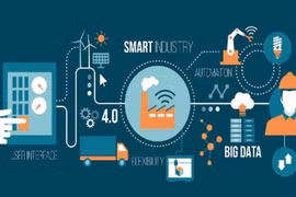 越南加快数字化进程的黄金时段 