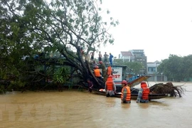 承天顺化省暴雨引发洪水致6人死亡、3人失踪