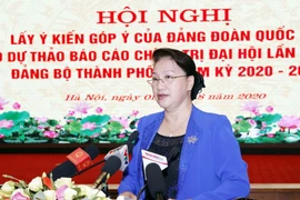 越南国会主席阮氏金银出席河内市党代会政治报告草案征求意见会