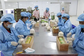 越南农产品价值得到肯定