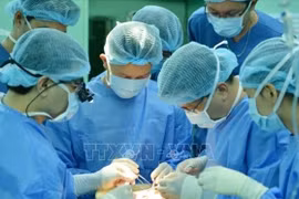 胡志明市每万人医生数20人