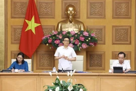 武德儋副总理： “安全的越南”的旅游推广应与疫情防控工作相结合